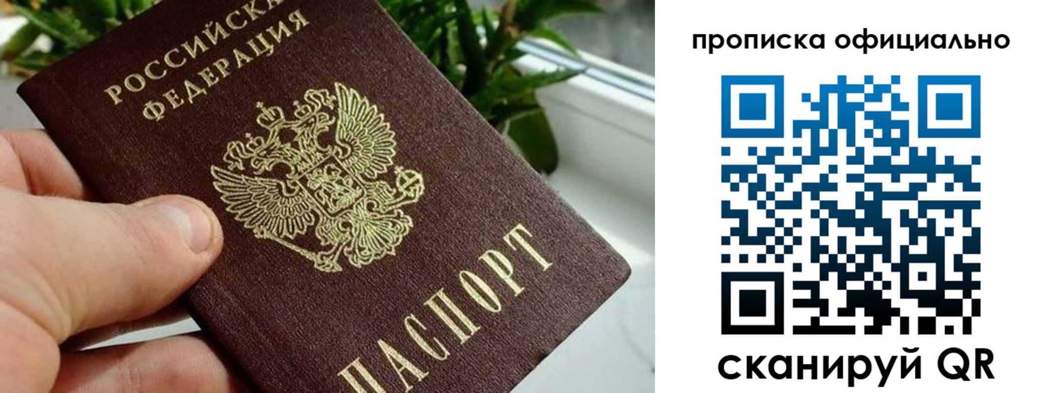 прописка поиск в Североуральске